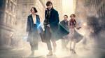 Fantastic Beasts and Where to Find Them