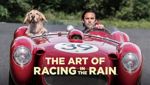 The Art of Racing in the Rain